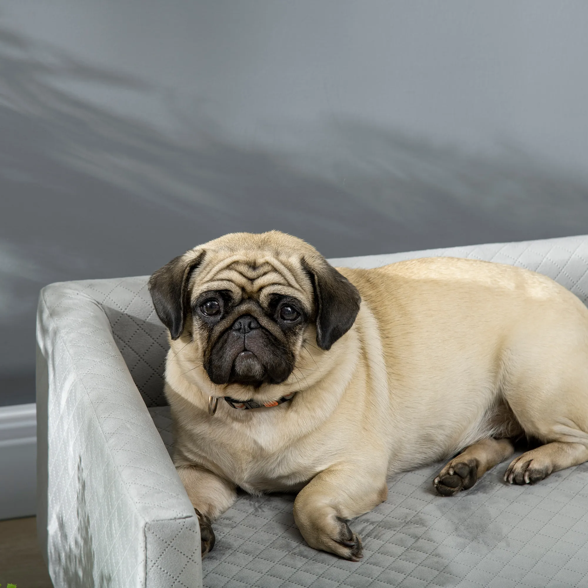 Hundesofa skandinavisches Design Samt-Touch Dunkelgrau 64x45x36 cm