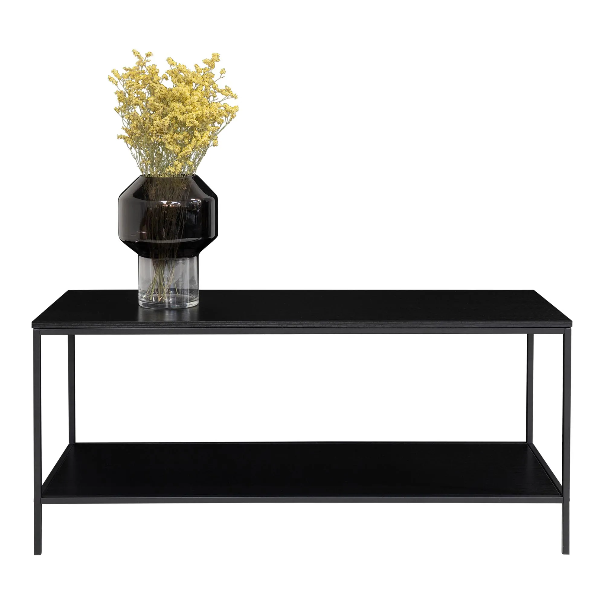 tinkaro Vita TV-Board 2 Regalböden 100x36x45 cm Schwarz