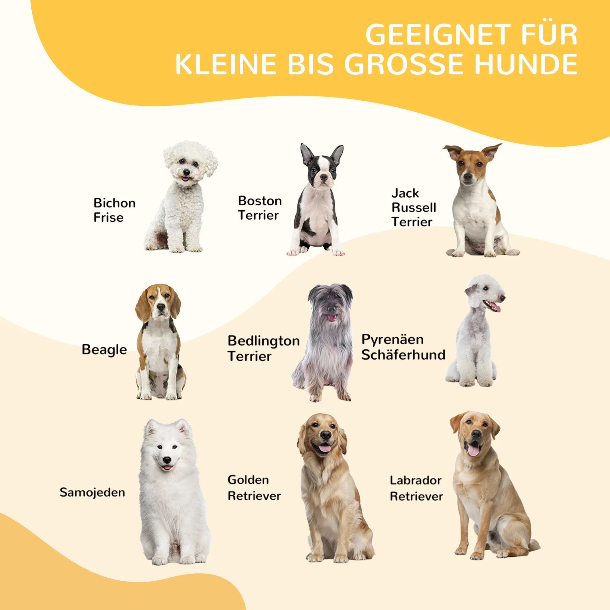 Hundelaufstall Grau 160x160x100 cm für kleine bis große Hunde