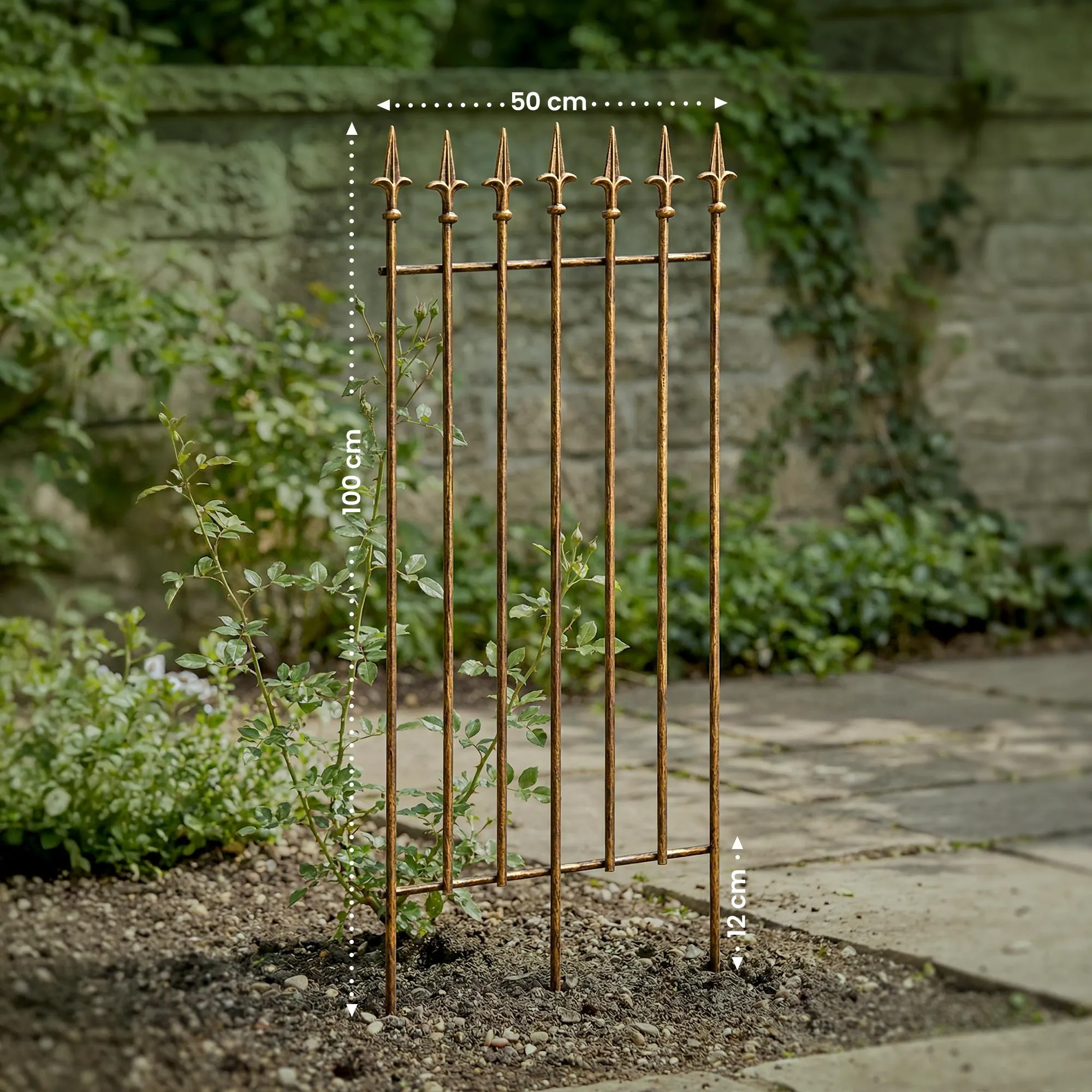 Rankgitter Elisa 100x50 cm Bronze