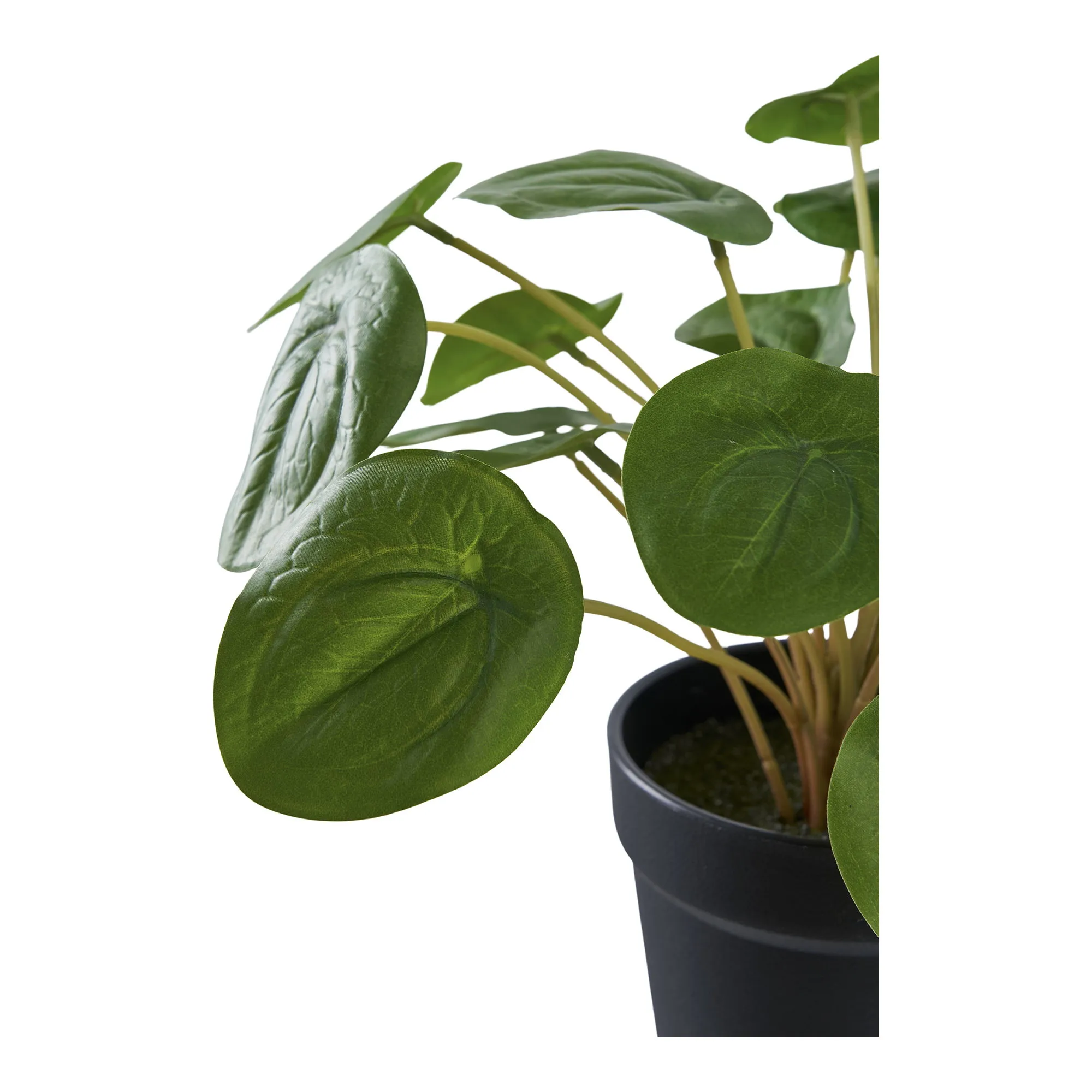 tinkaro Künstliche Pflanze Pelia H:28 cm Grün