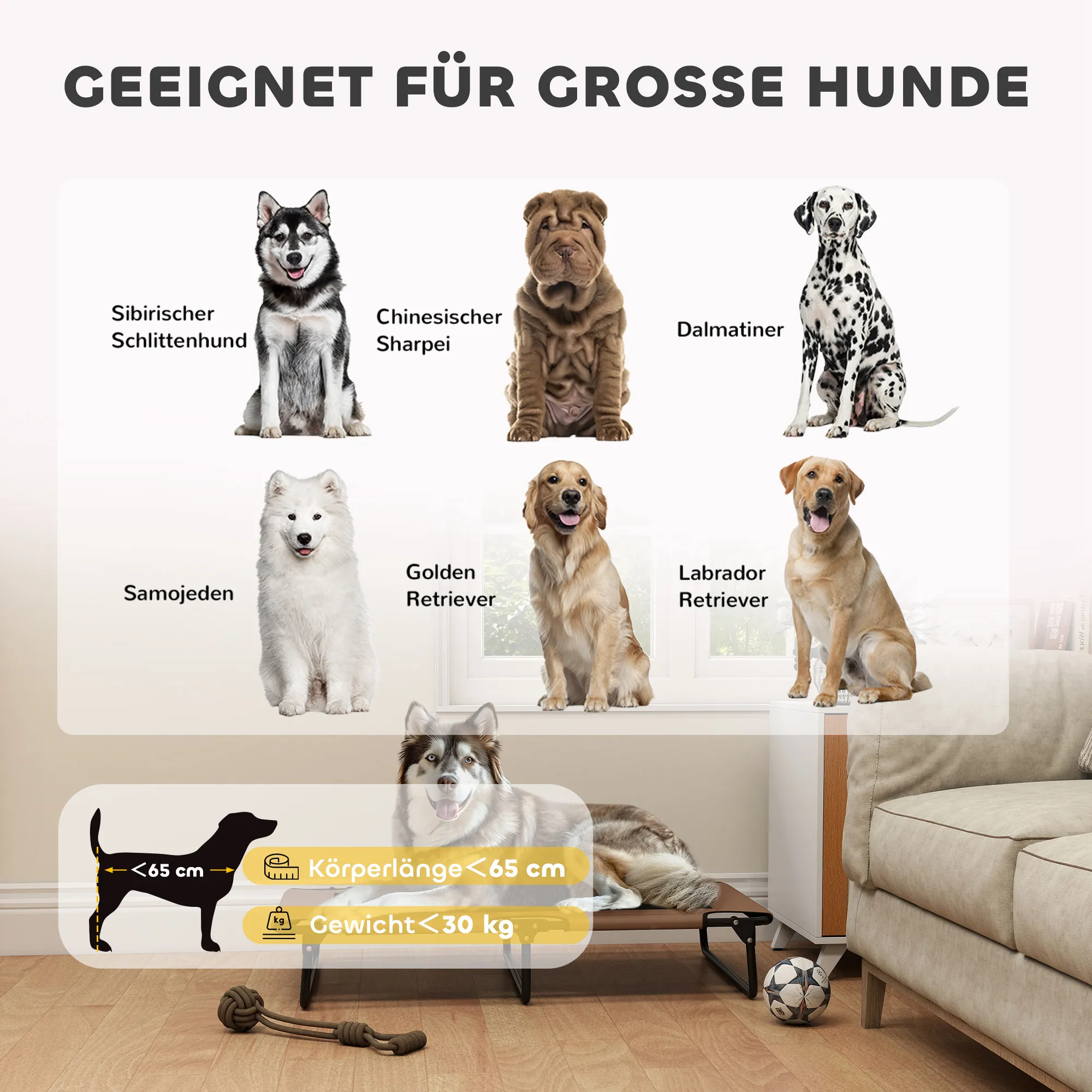 Hundebett erhöht klappbar für große Hunde, Oxford-Gewebe, Kaffee