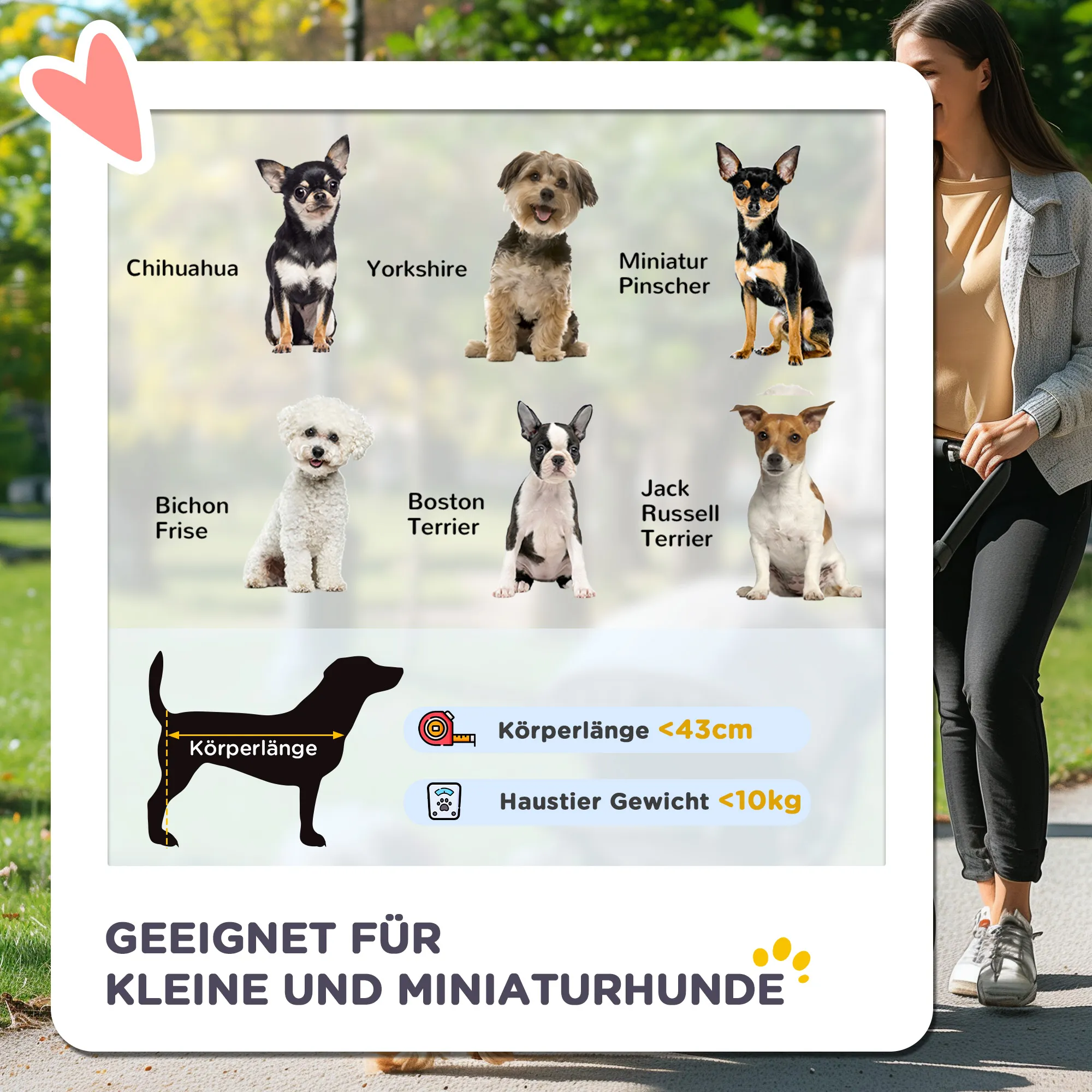 Hundebuggy für kleine Hunde bis 10kg, Oxford-Gewebe, Rot