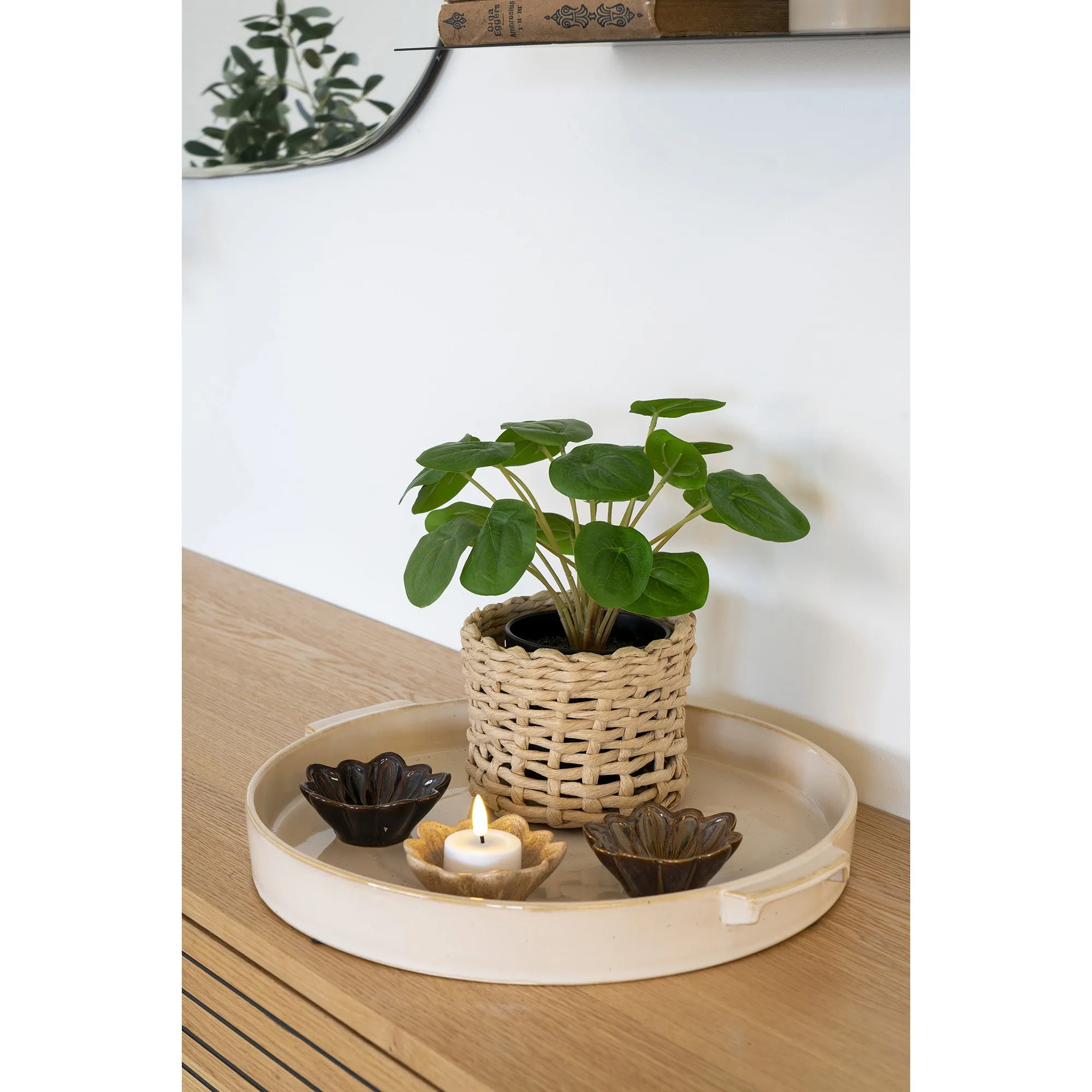 tinkaro Künstliche Pflanze Pelia H:28 cm Grün