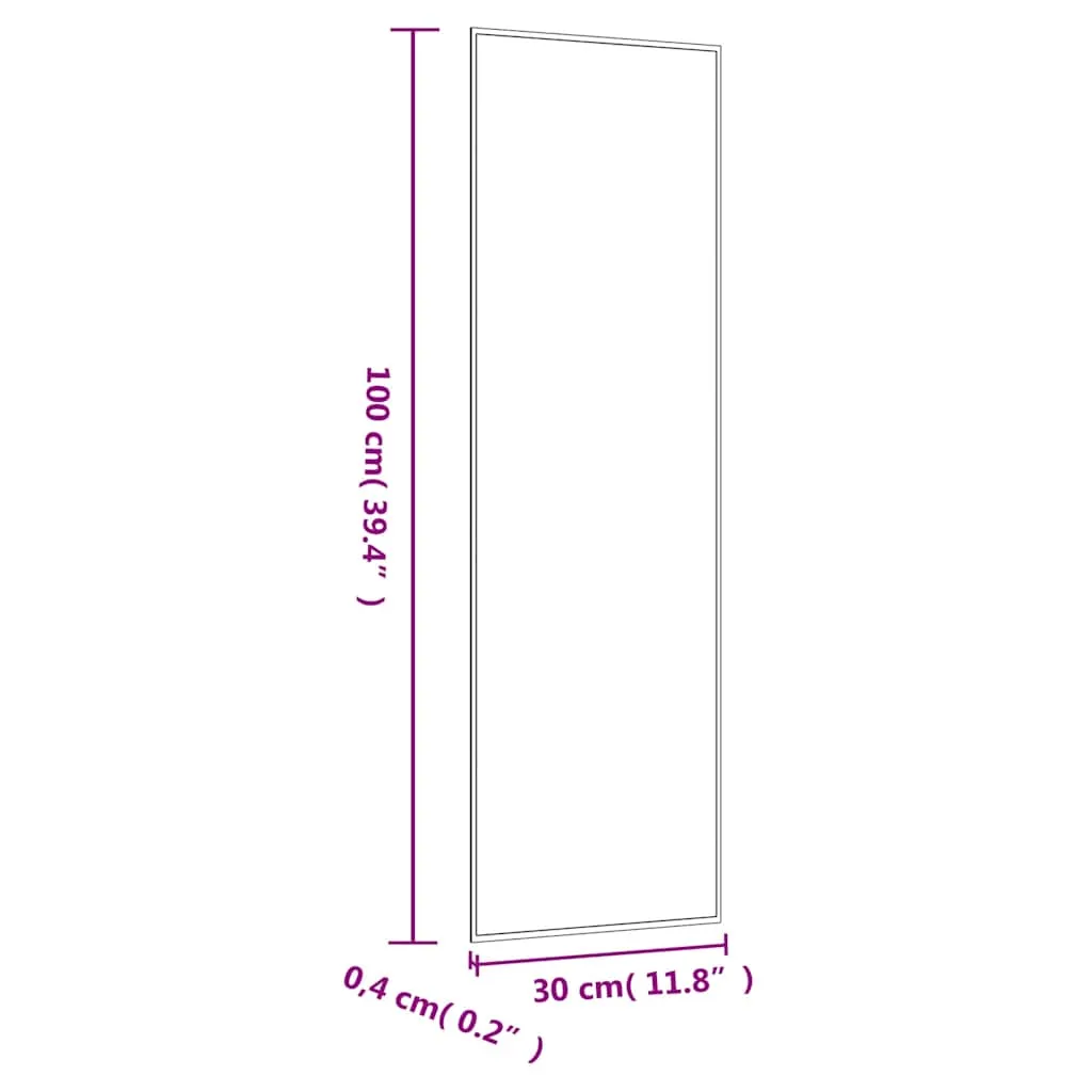 Praktischer Wandspiegel Glas 30 x 100 cm, klar