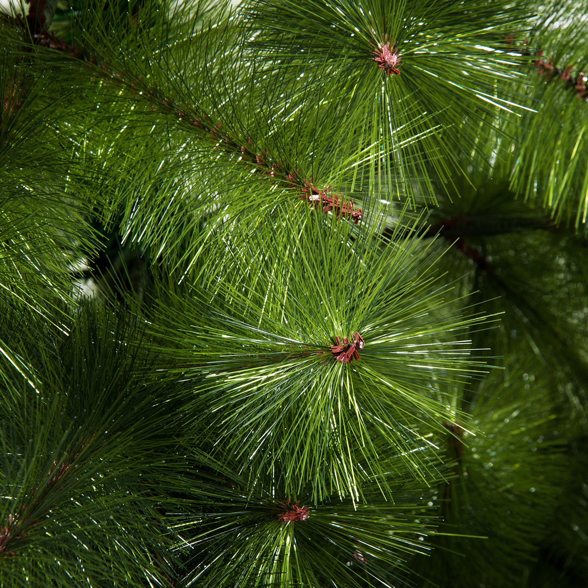 Weihnachtsbaum 2,1 m Grün mit 505 Zweigspitzen