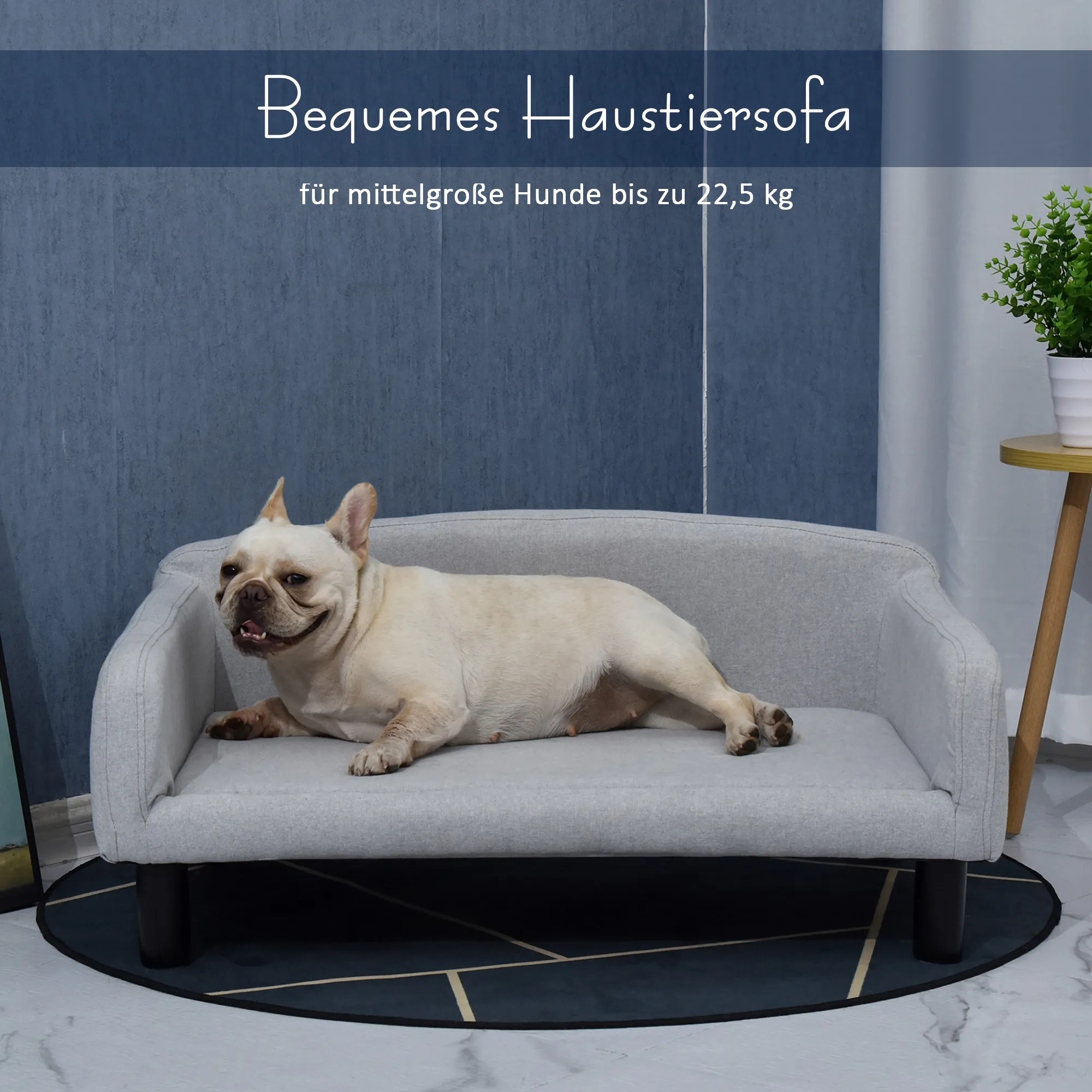 Hundesofa aus Samt mit Holzbeinen, 82x54x36 cm, Hellgrau