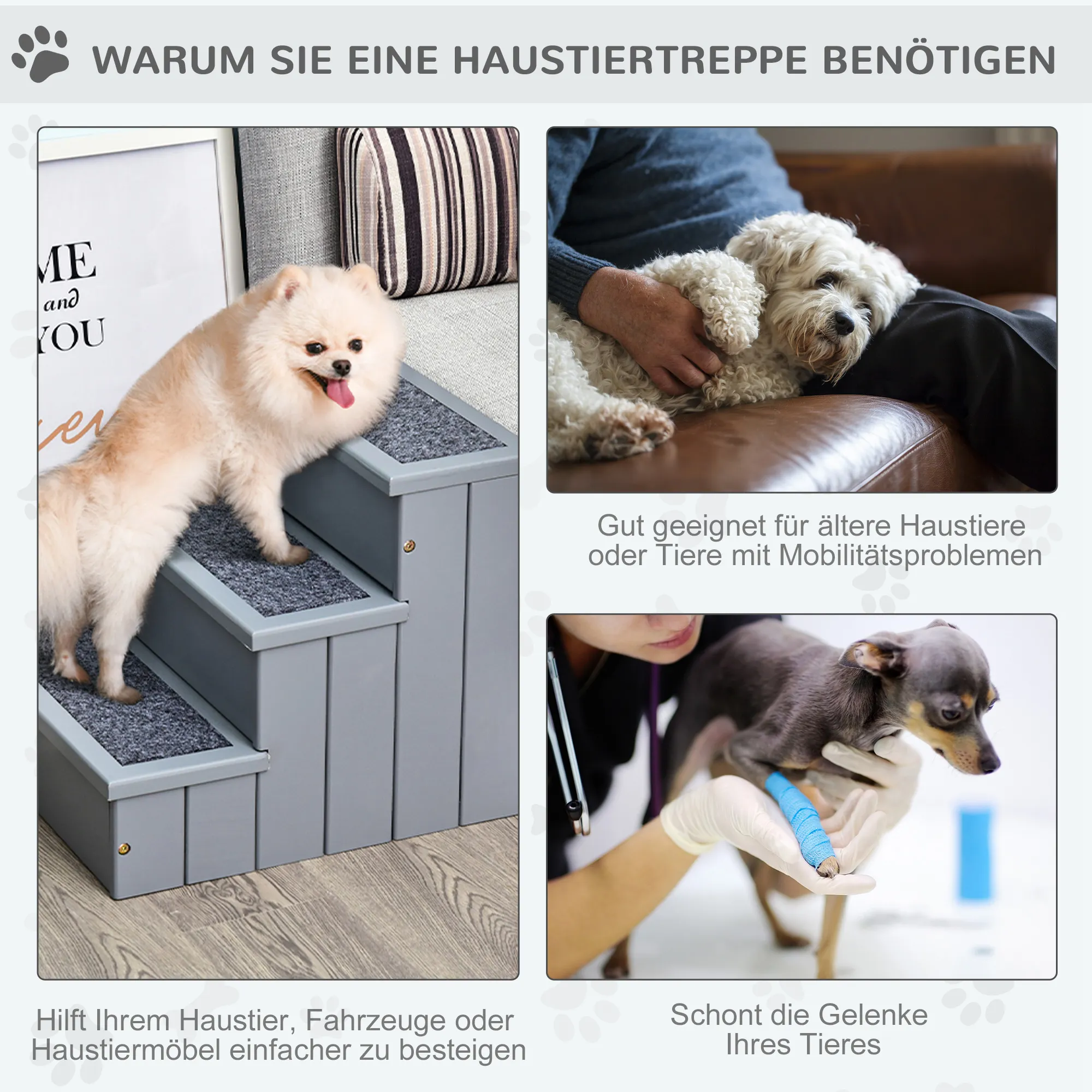 Hundetreppe mit Stauraum aus Tannenholz, 3 Stufen, Grau, 38 cm hoch