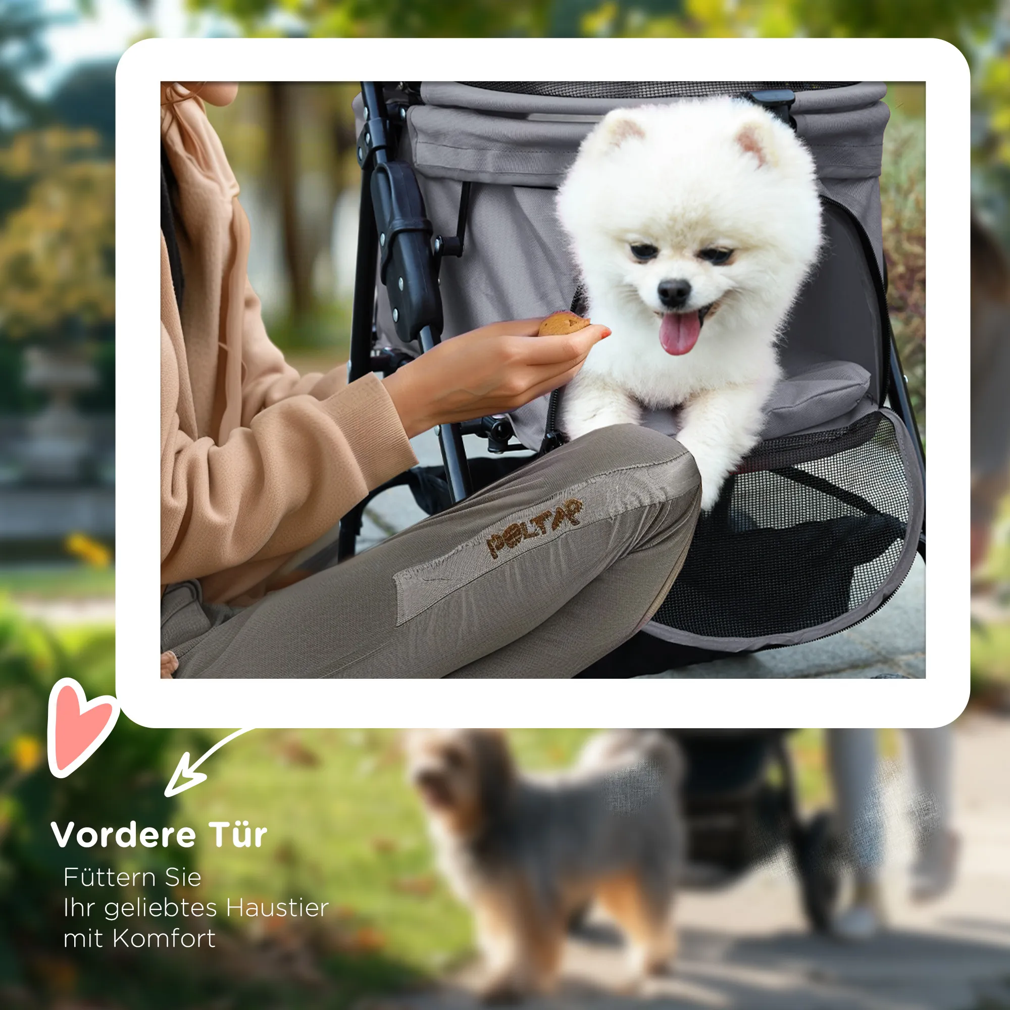 Hundebuggy Grau 67L x 45B x 96H cm für kleine Hunde bis 4 kg