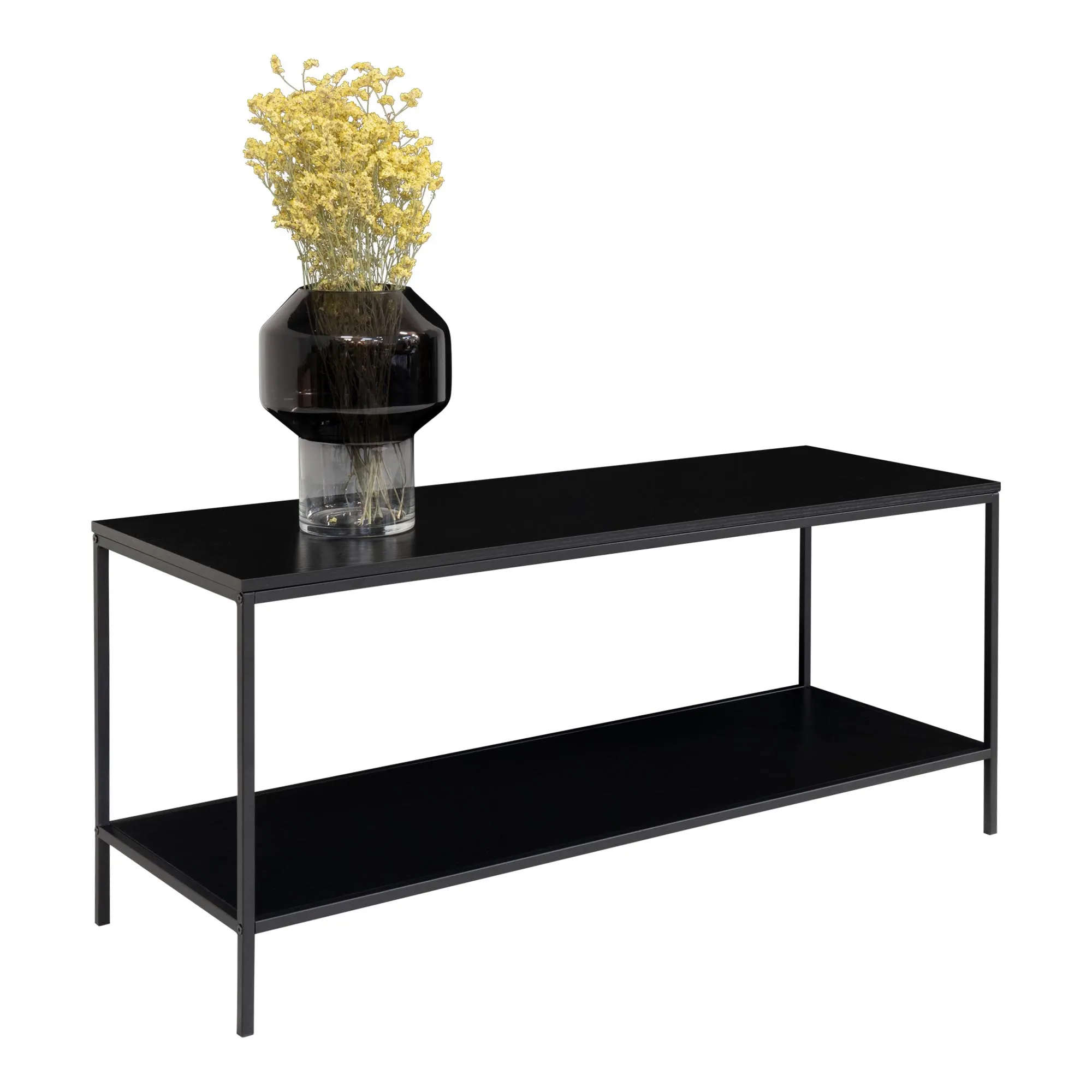 tinkaro Vita TV-Board 2 Regalböden 100x36x45 cm Schwarz