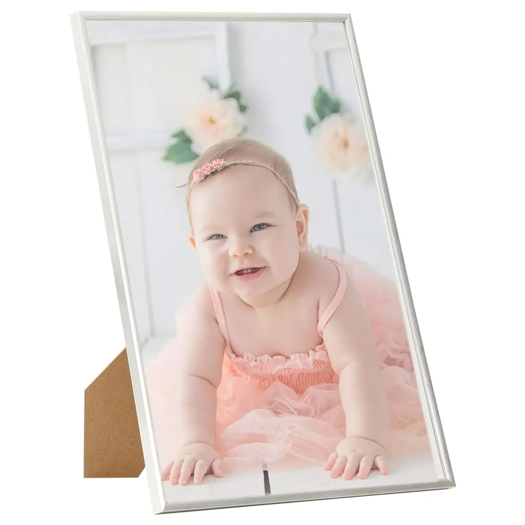 3er Set silberne Fotorahmen 21 x 29,7 cm