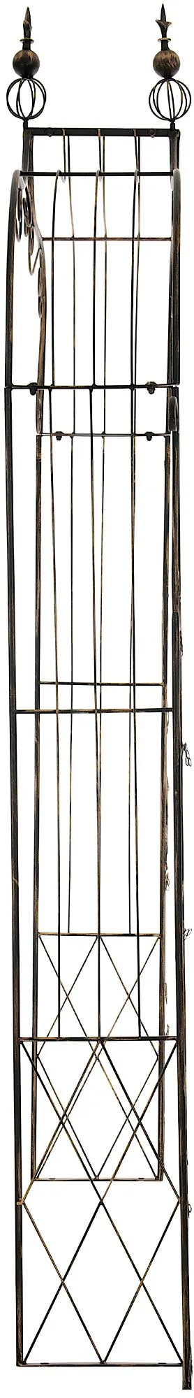 Rosenbogen Aurora 143x30x248 cm Bronze