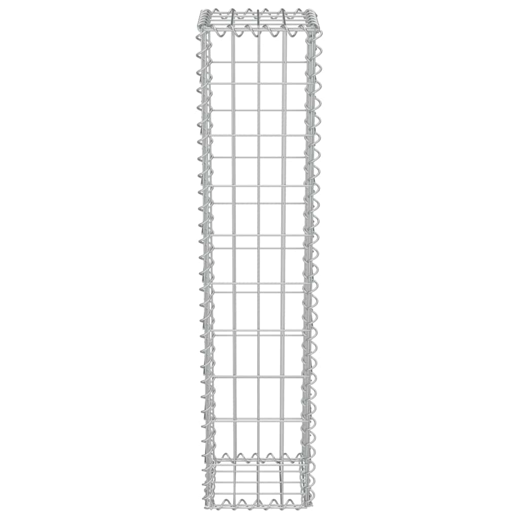 Gabionenkorb aus verzinktem Stahl Silber 20 x 20 x 100 cm