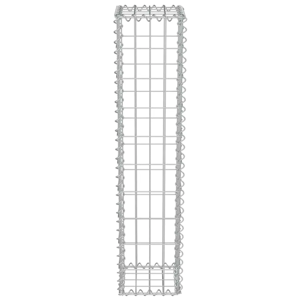 Gabionenkorb aus verzinktem Stahl Silber 20 x 20 x 100 cm