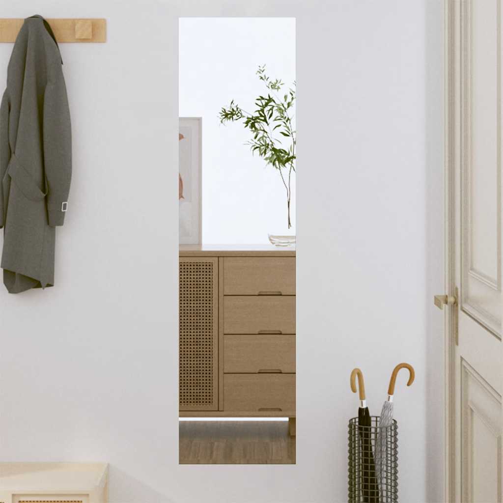 Praktischer Wandspiegel Glas 30 x 100 cm, klar