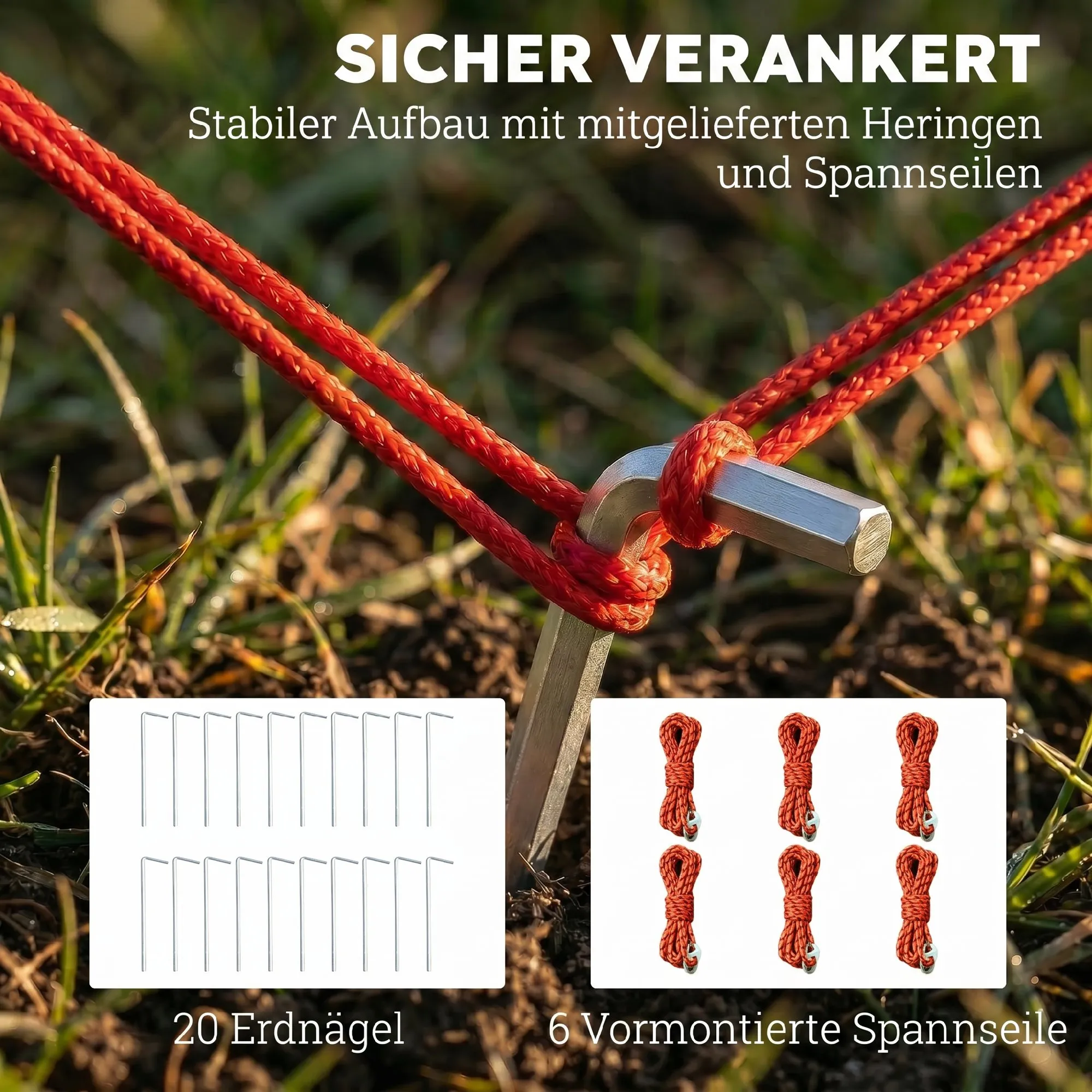 Tunnelzelt 4 Personen 565x370x200 cm Himmelblau-Grau