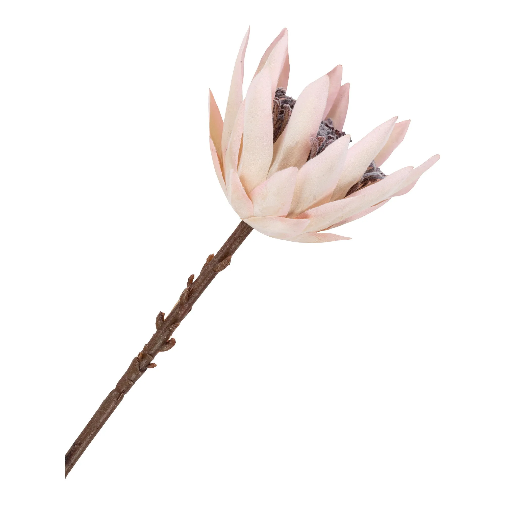 tinkaro Strauß King-Protea PE-Kunststoff Bordeaux Mix
