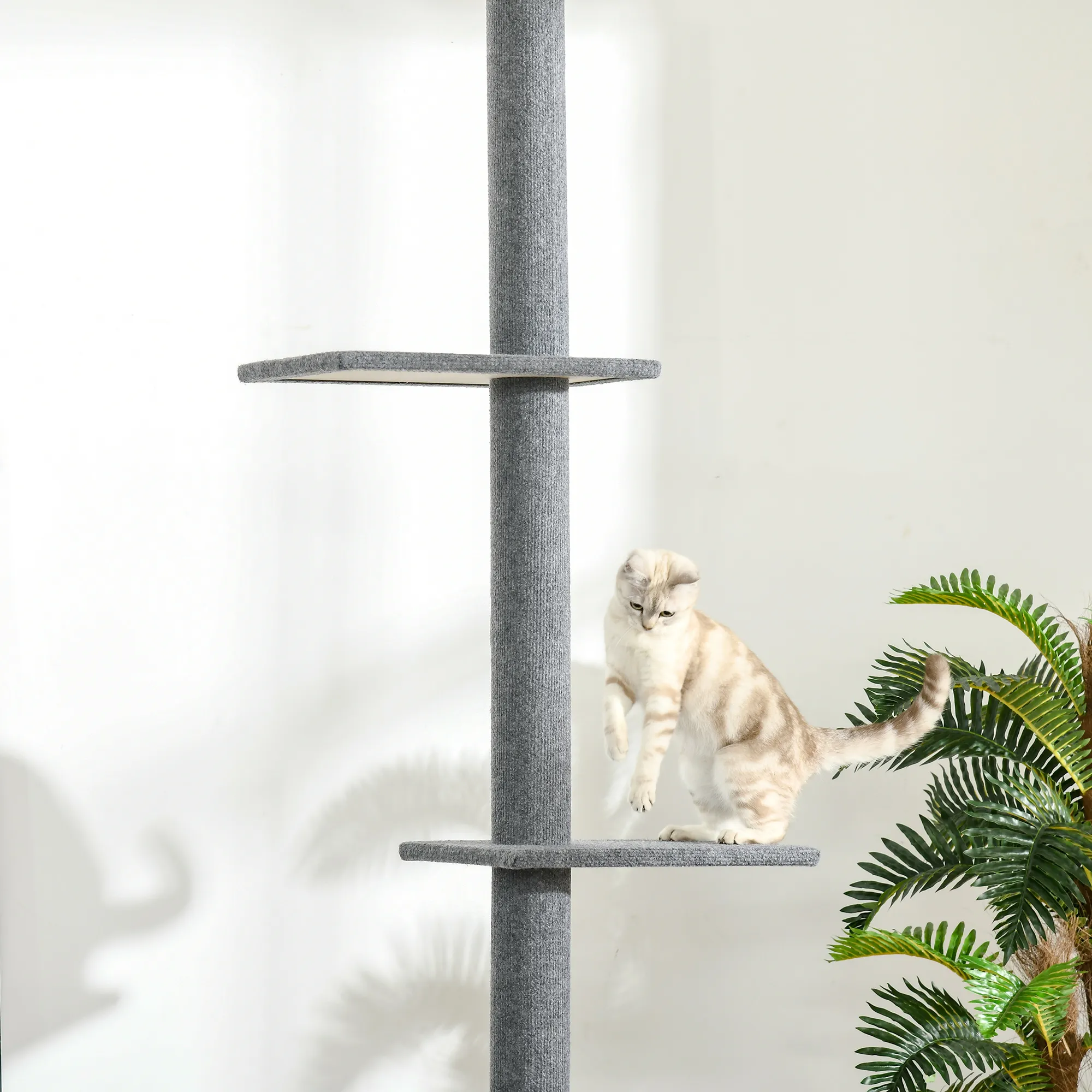 Kratzbaum deckenhoch mit 4 Plattformen, Plüsch, 228-260 cm, Grau