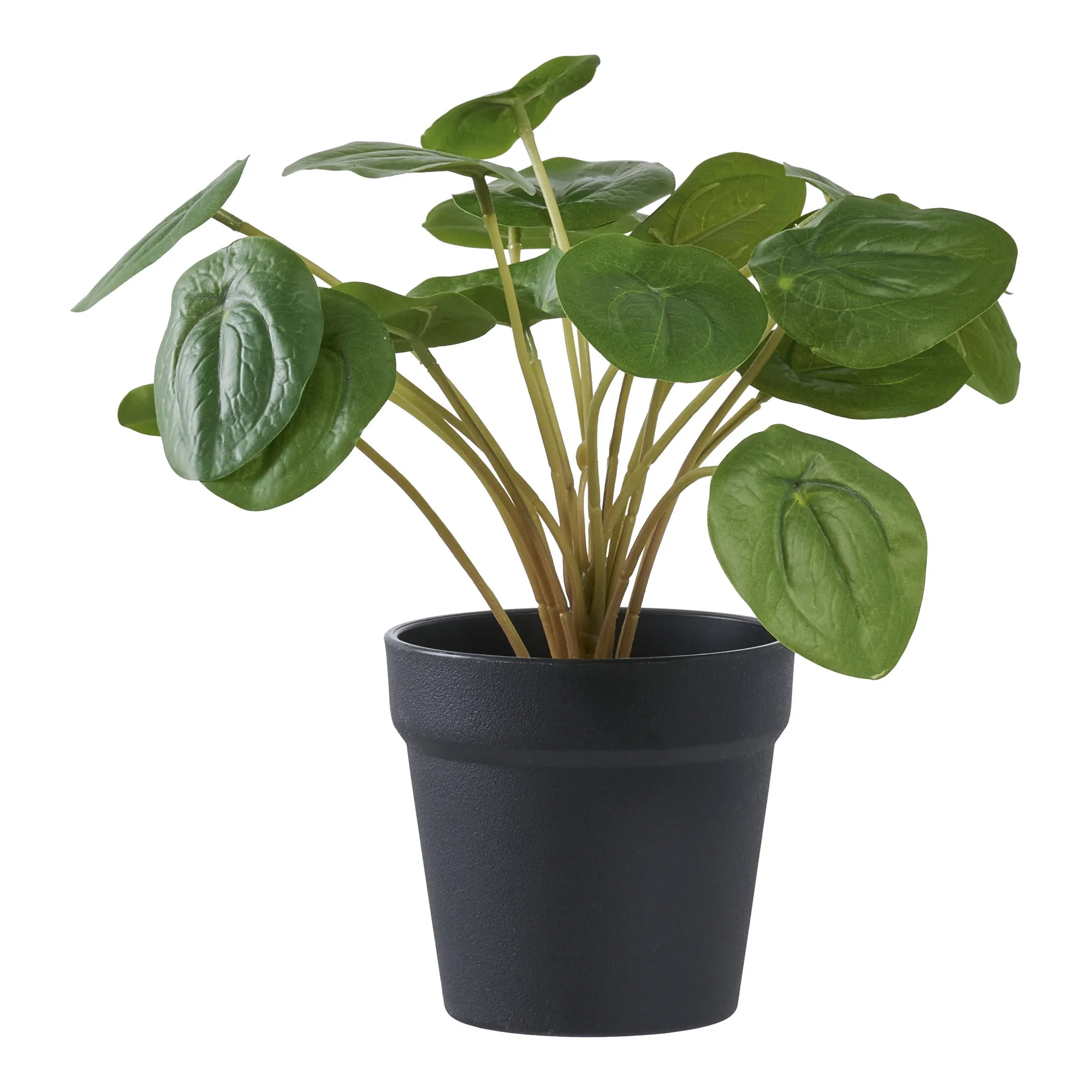 tinkaro Künstliche Pflanze Pelia H:28 cm Grün