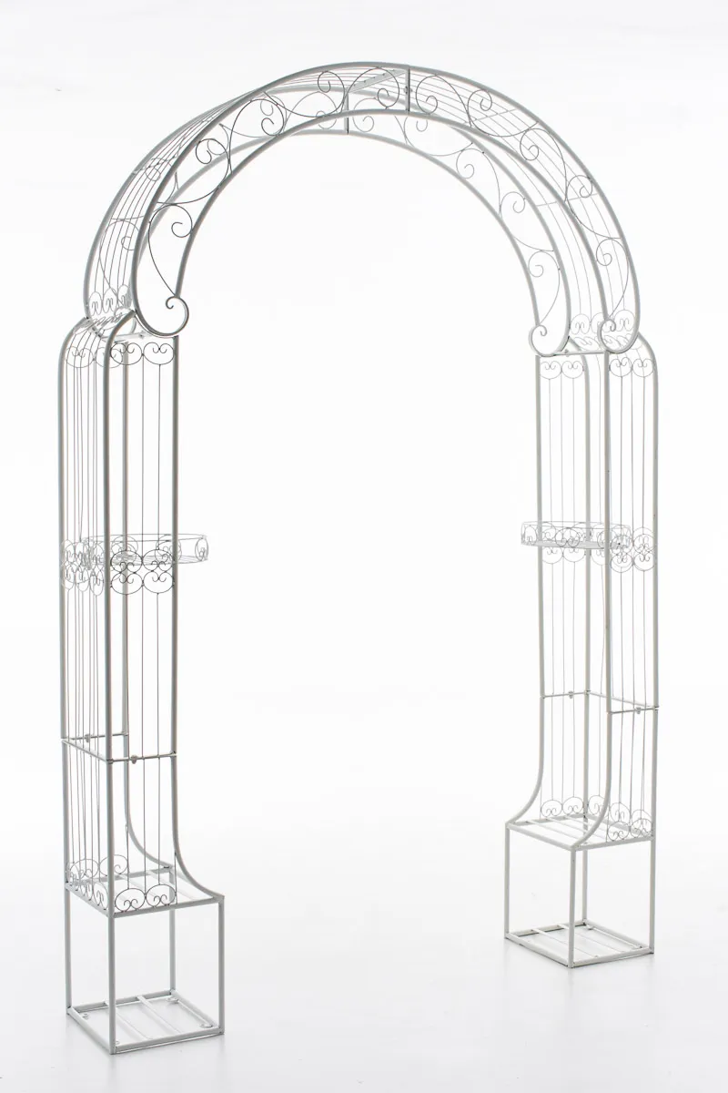 Rosenbogen Alessia 239,5x163x34 cm weiß