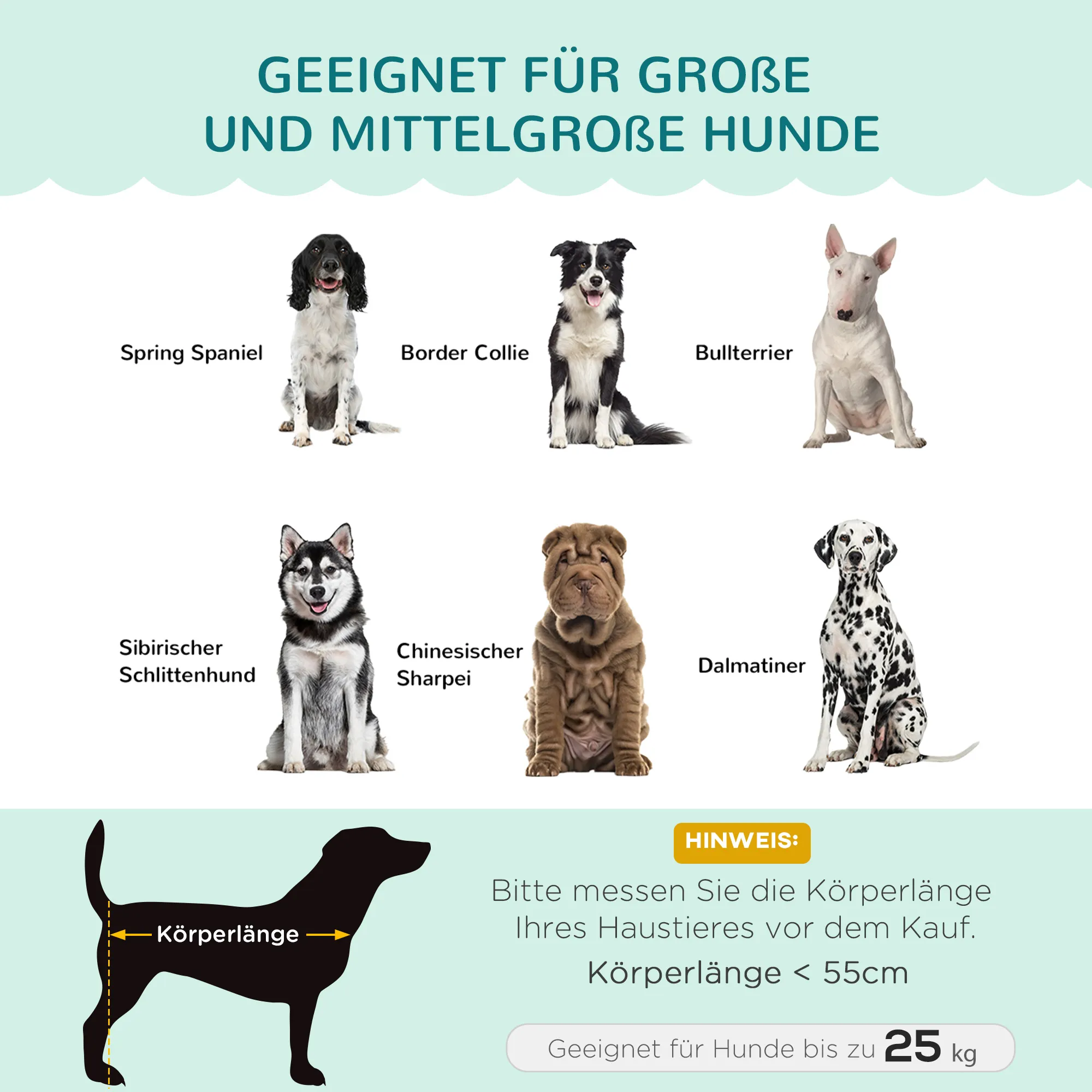 Hundesofa für Hunde bis 25 kg aus Birkenholz, Grün